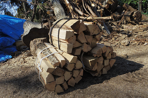 薪の材料・丸太材を林から運ぶ